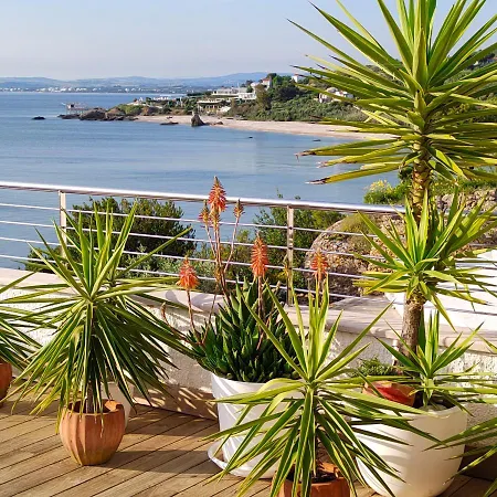 Canale Bed & Breakfast Vasto