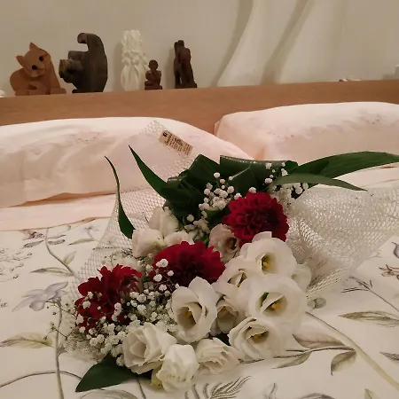 Bed & Breakfast Canale 4*